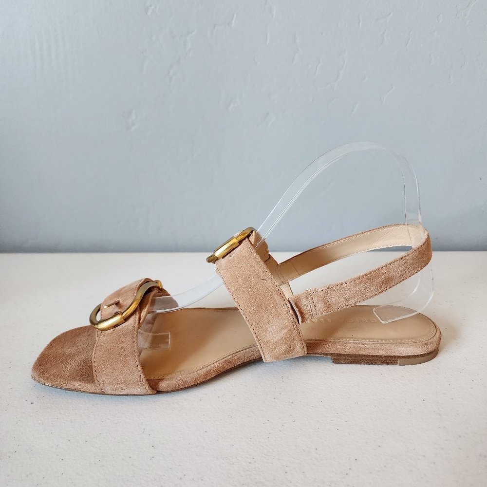 Veronica Beard Maglio Tan Buckle Strap Sandals with Gold Hardware - Picture 9 of 16